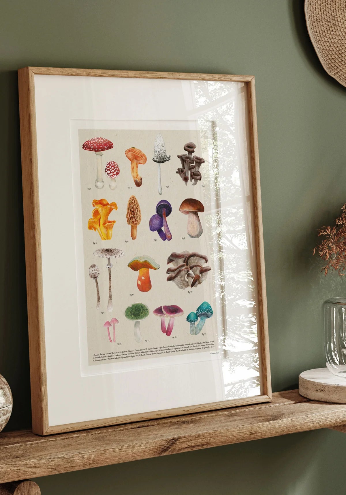 L'affiche les champignons de chez Maison Paula