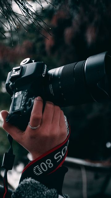 blog-portrait-de-createur