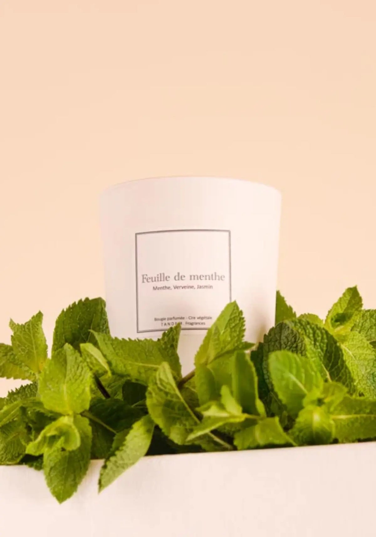 La bougie 180g Feuille de menthe de chez Tandem Fragrances