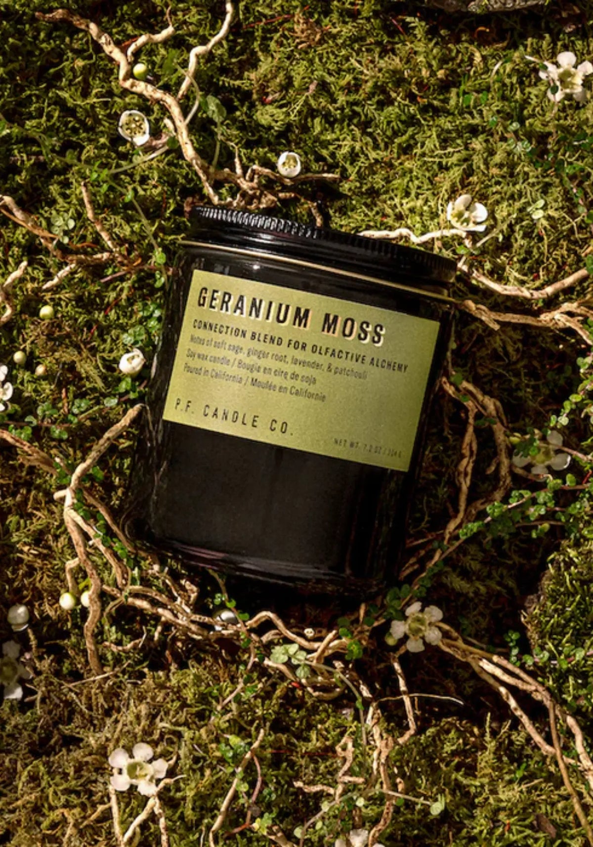 La bougie standard alchemy geranium moss de chez PF CANDLE