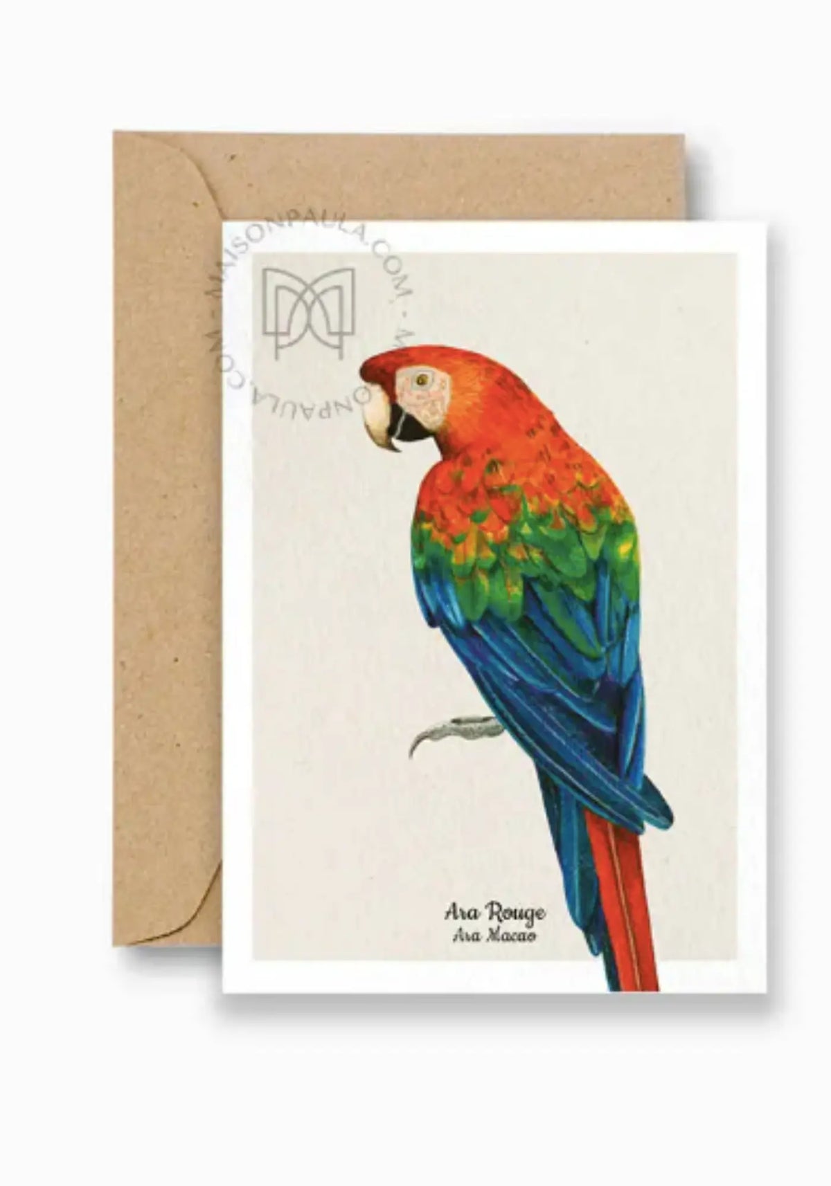 La carte postale ara rouge de chez Maison Paula