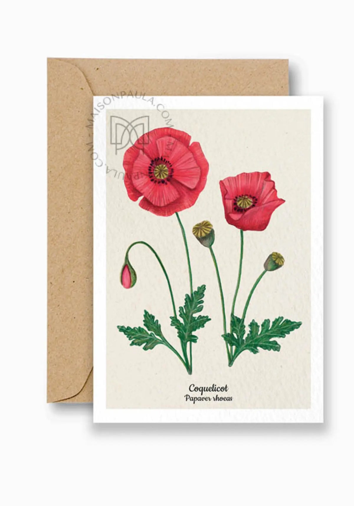 La carte postale coquelicot de chez Maison Paula