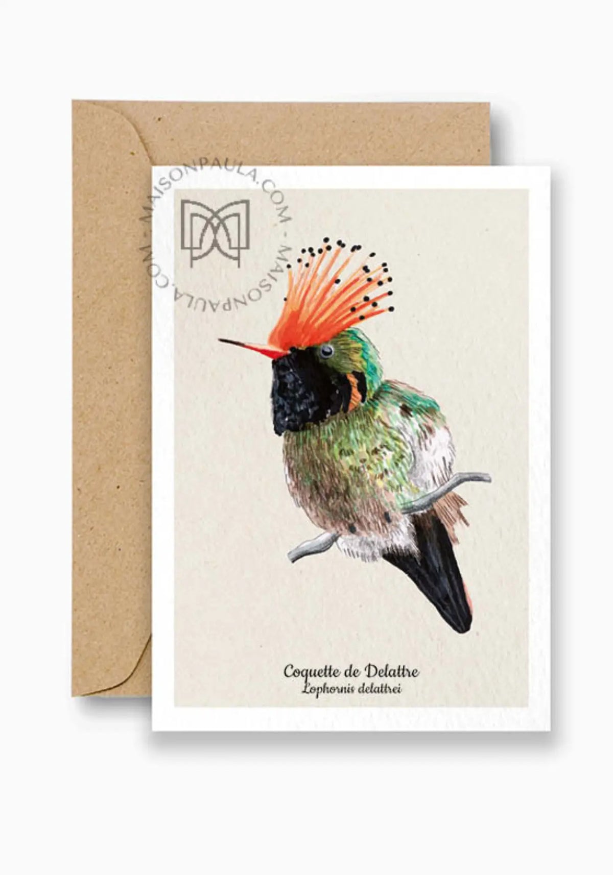 La carte postale coquette de delattre de chez Maison Paula