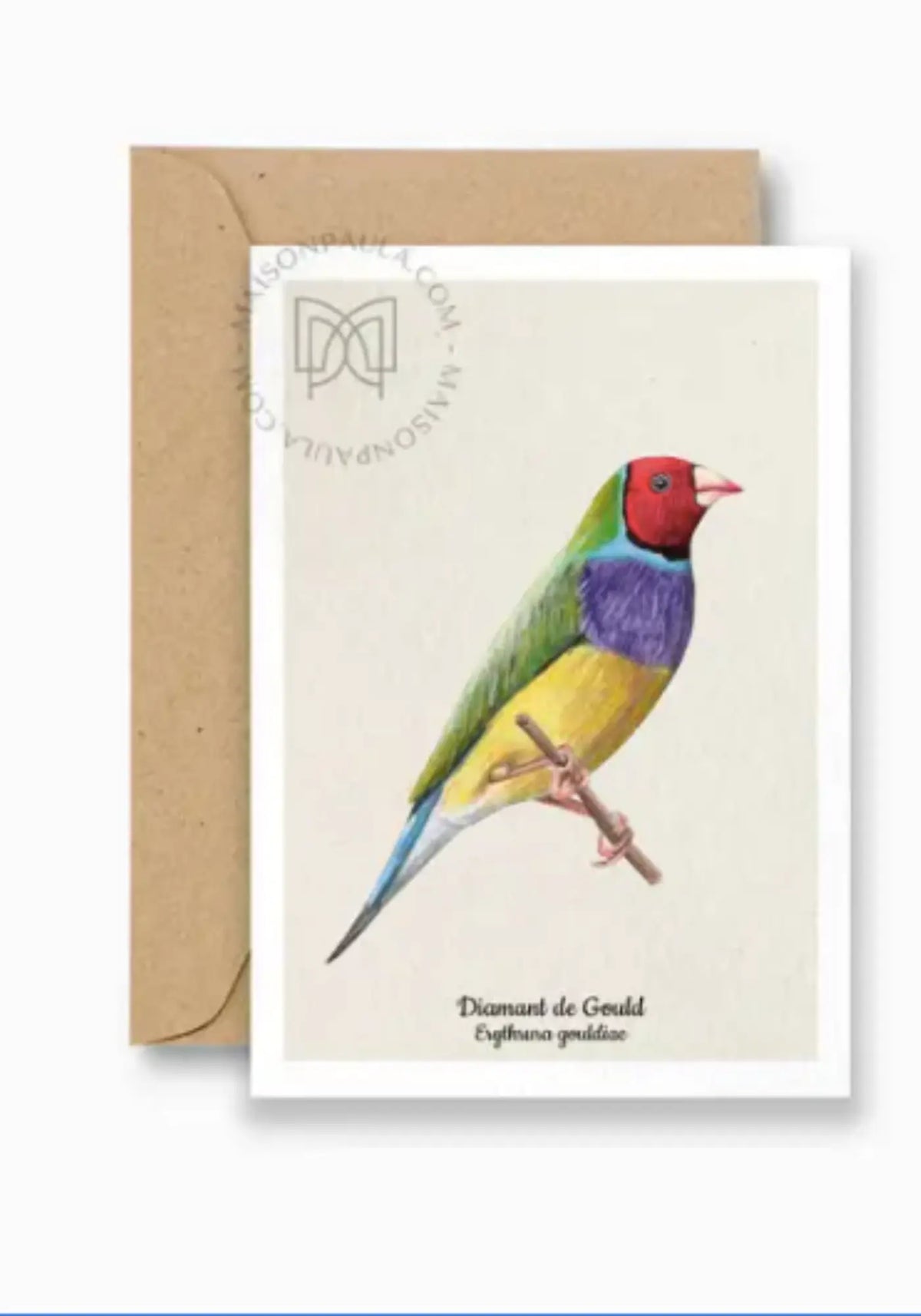 La carte postale diamant de gould de chez Maison Paula