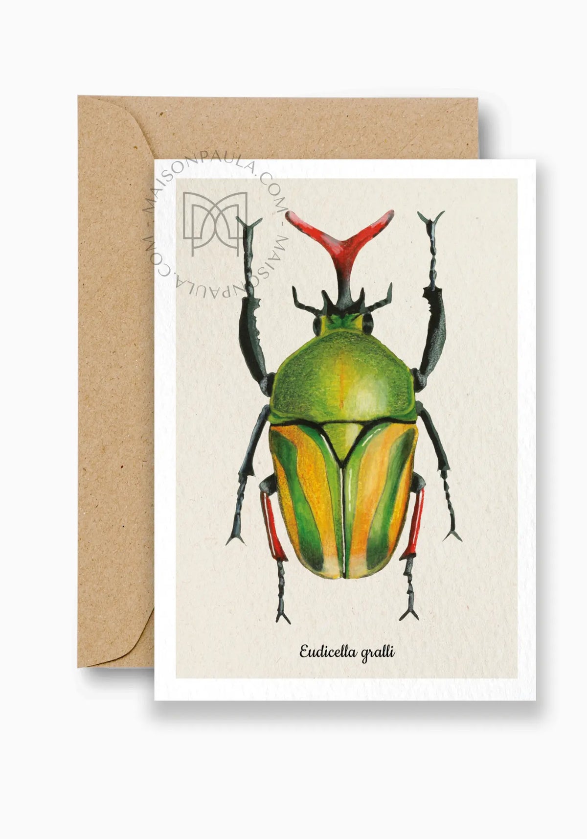 La carte postale eudicella gralli de chez Maison Paula