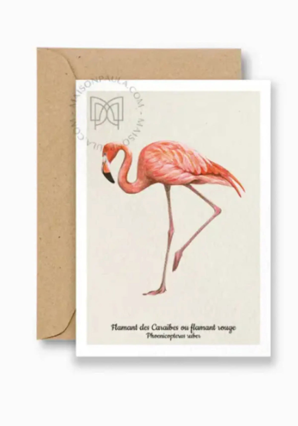 La carte postale flamand rouge de chez Maison Paula