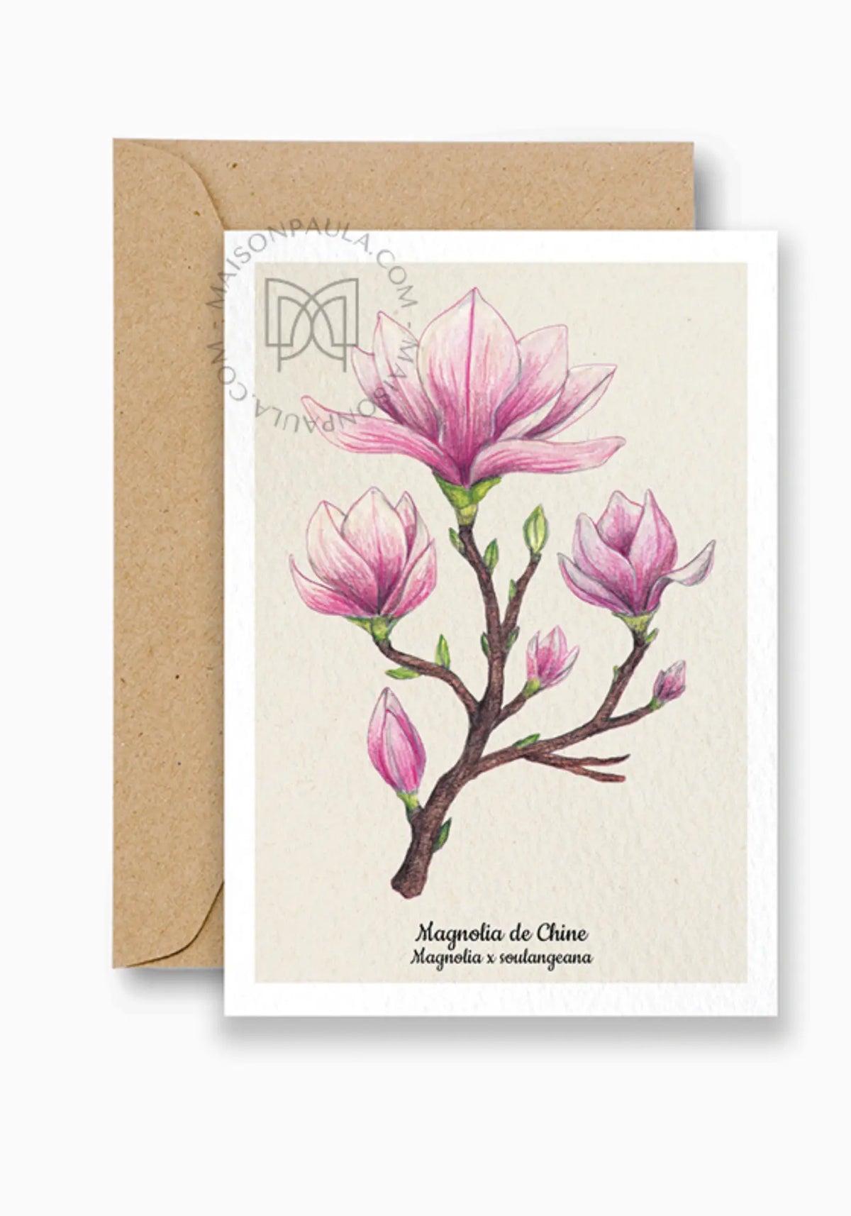 La carte postale magnolia de chez Maison Paula