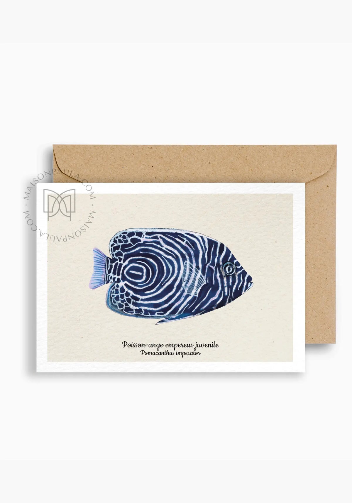 La carte postale poisson ange empereur juvenille de chez Maison Paula