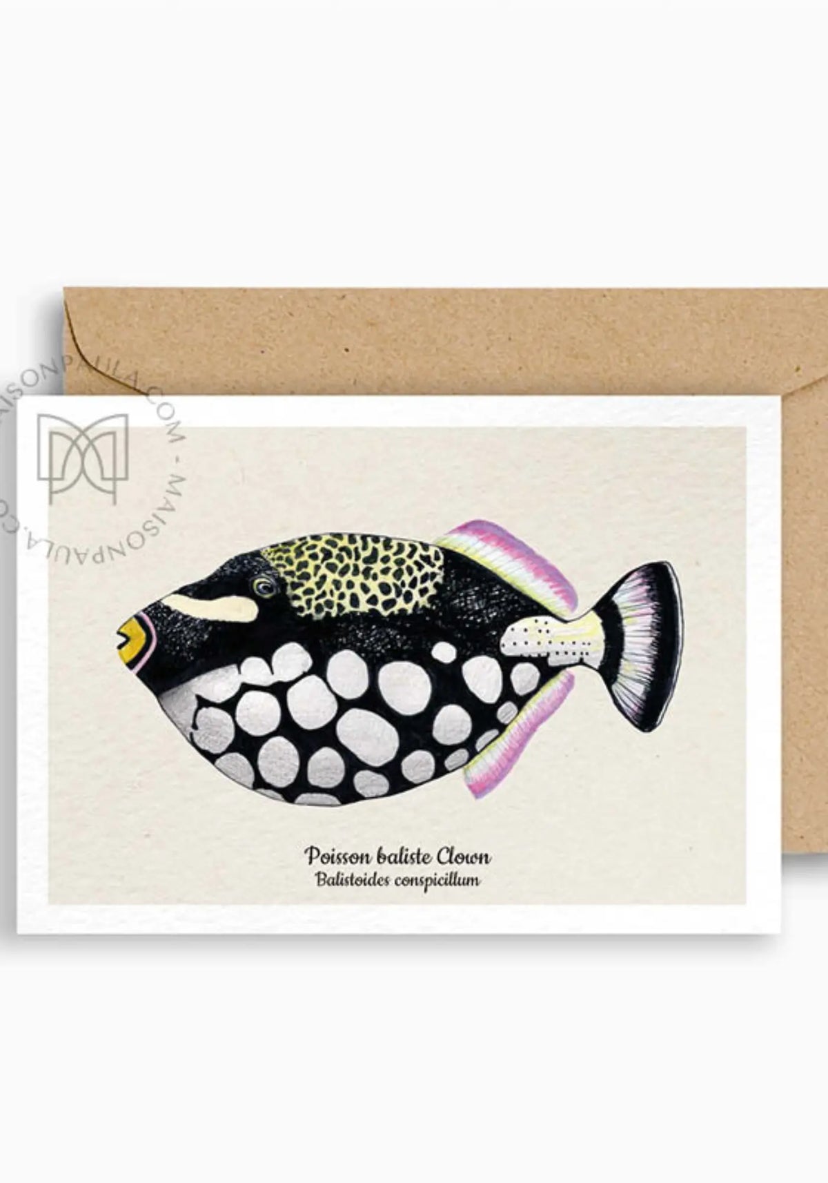 La carte postale Poisson baliste clown de chez Maison Paula