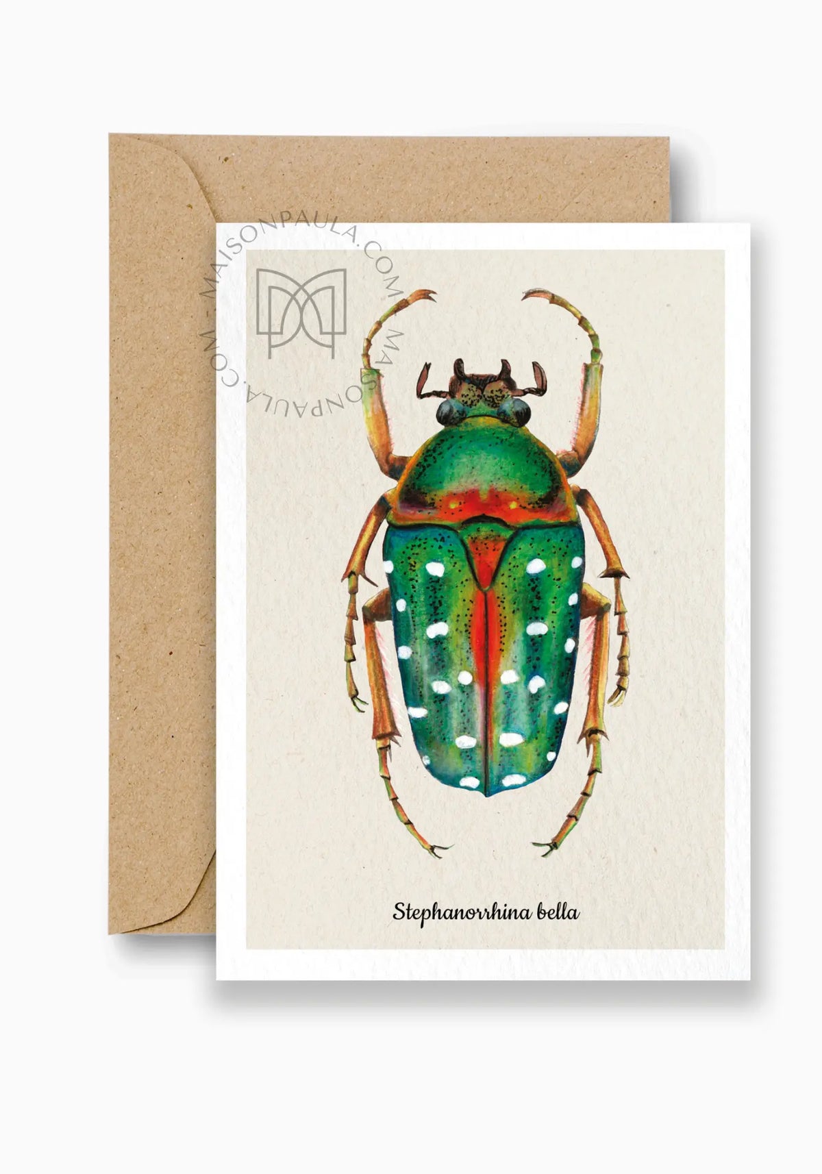 La carte postale sephanorrhina belle de chez Maison Paula