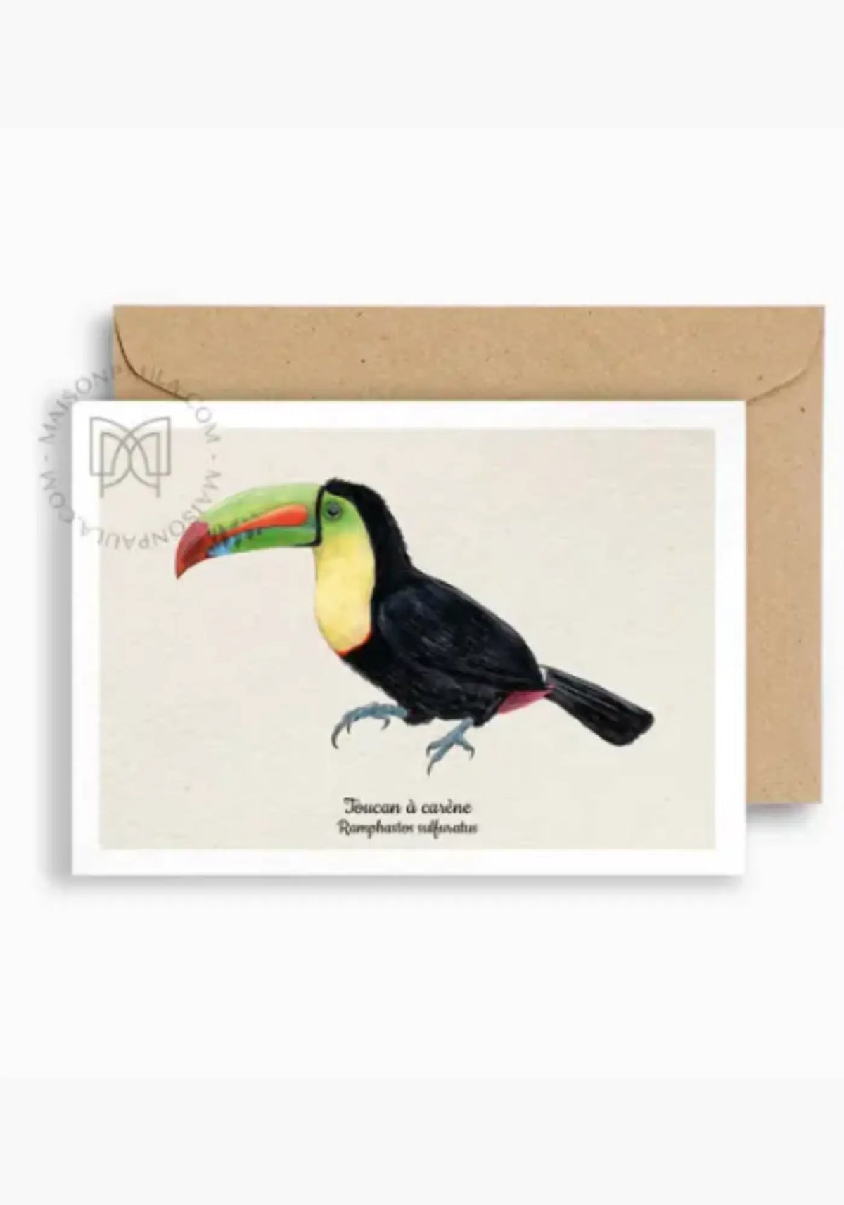 La carte postale toucan à carene de chez Maison Paula