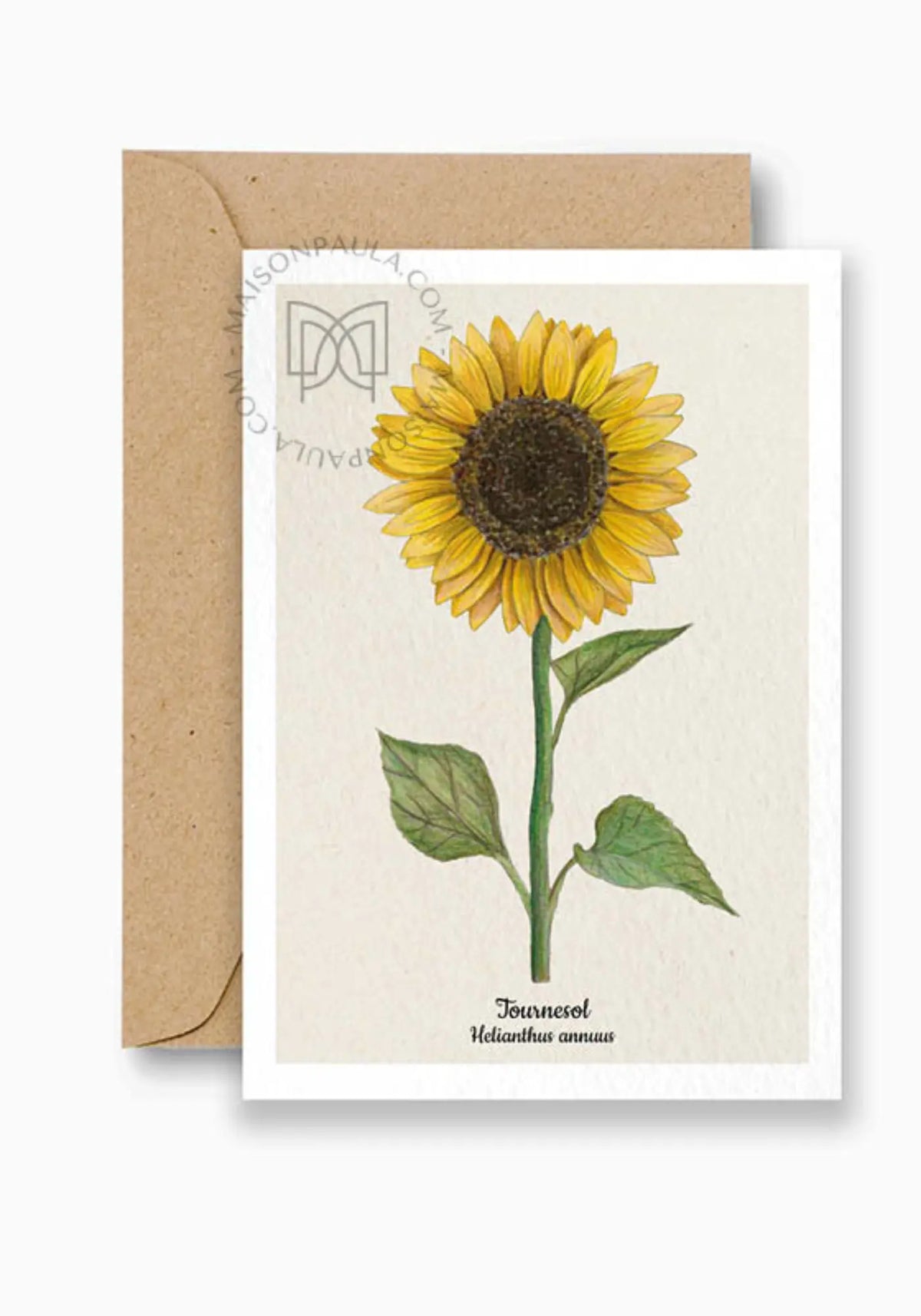 La carte postale tournesol de chez Maison Paula