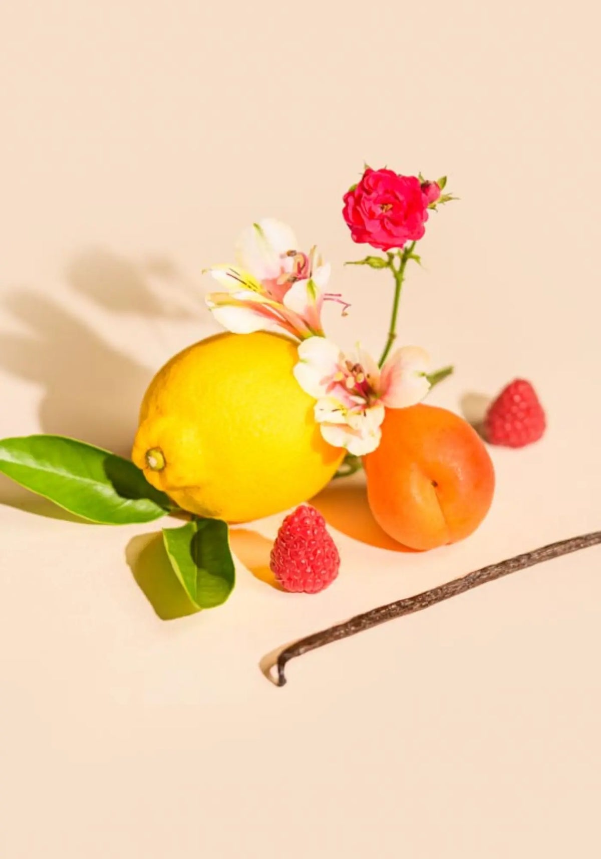 La senteur du diffuseur à batonnets 100ml fruits confits de chez Tandem Fragrances