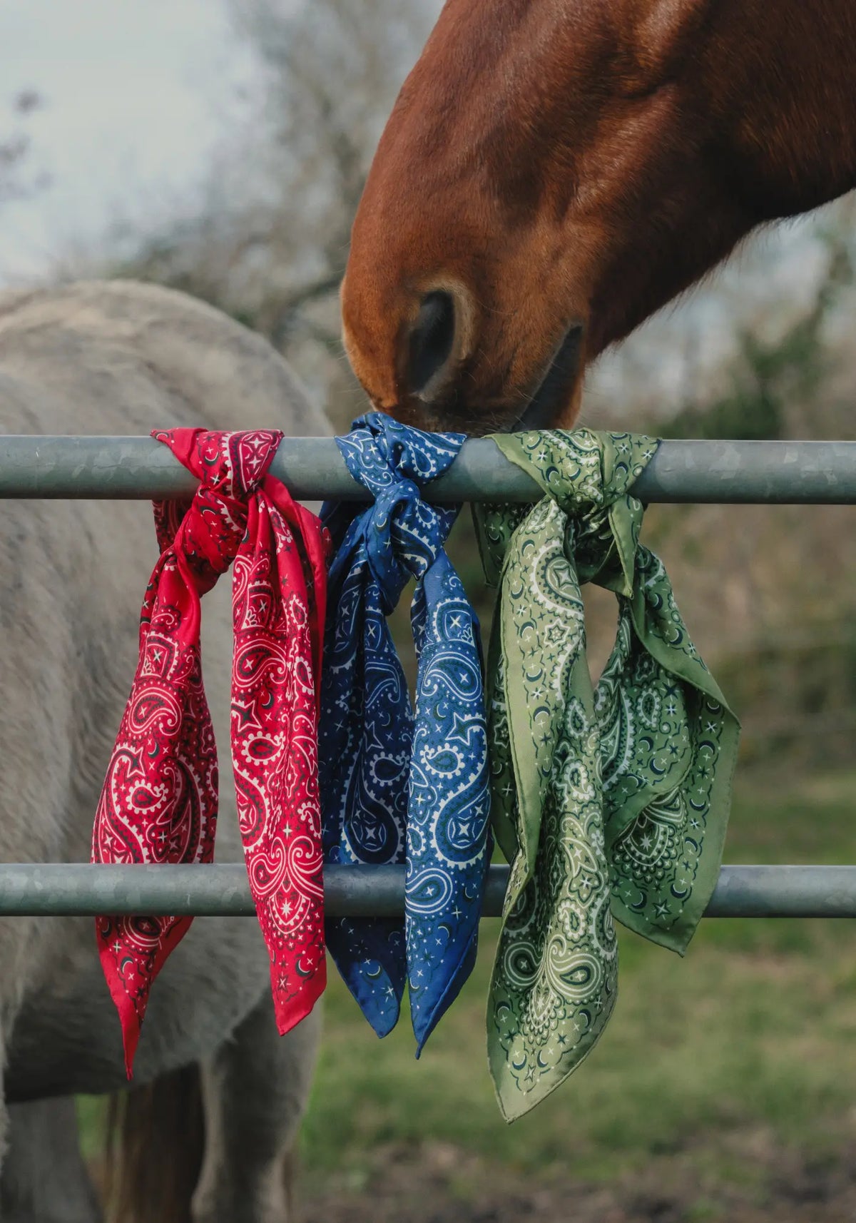 Les 2 foulards bandana pure soie de chez Emily's Pillow
