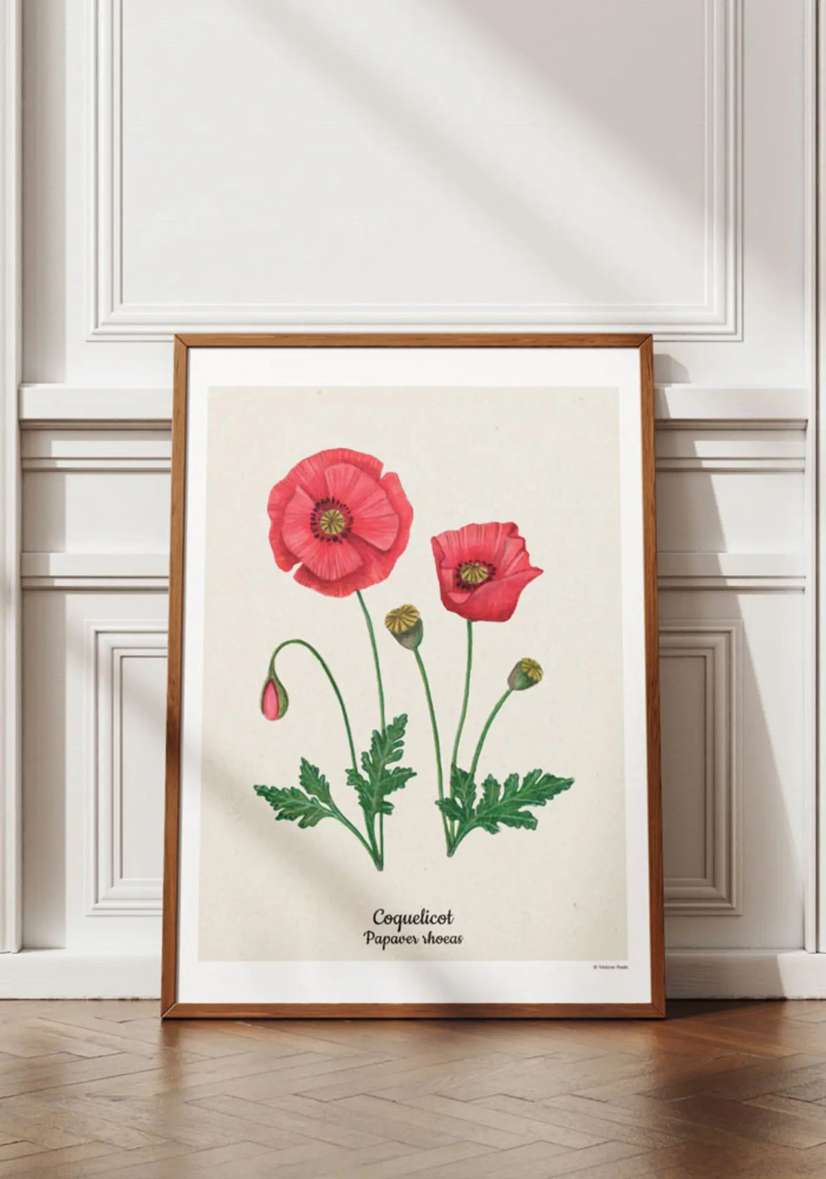 L'affiche 21x30 cm coquelicot de chez Maison Paula