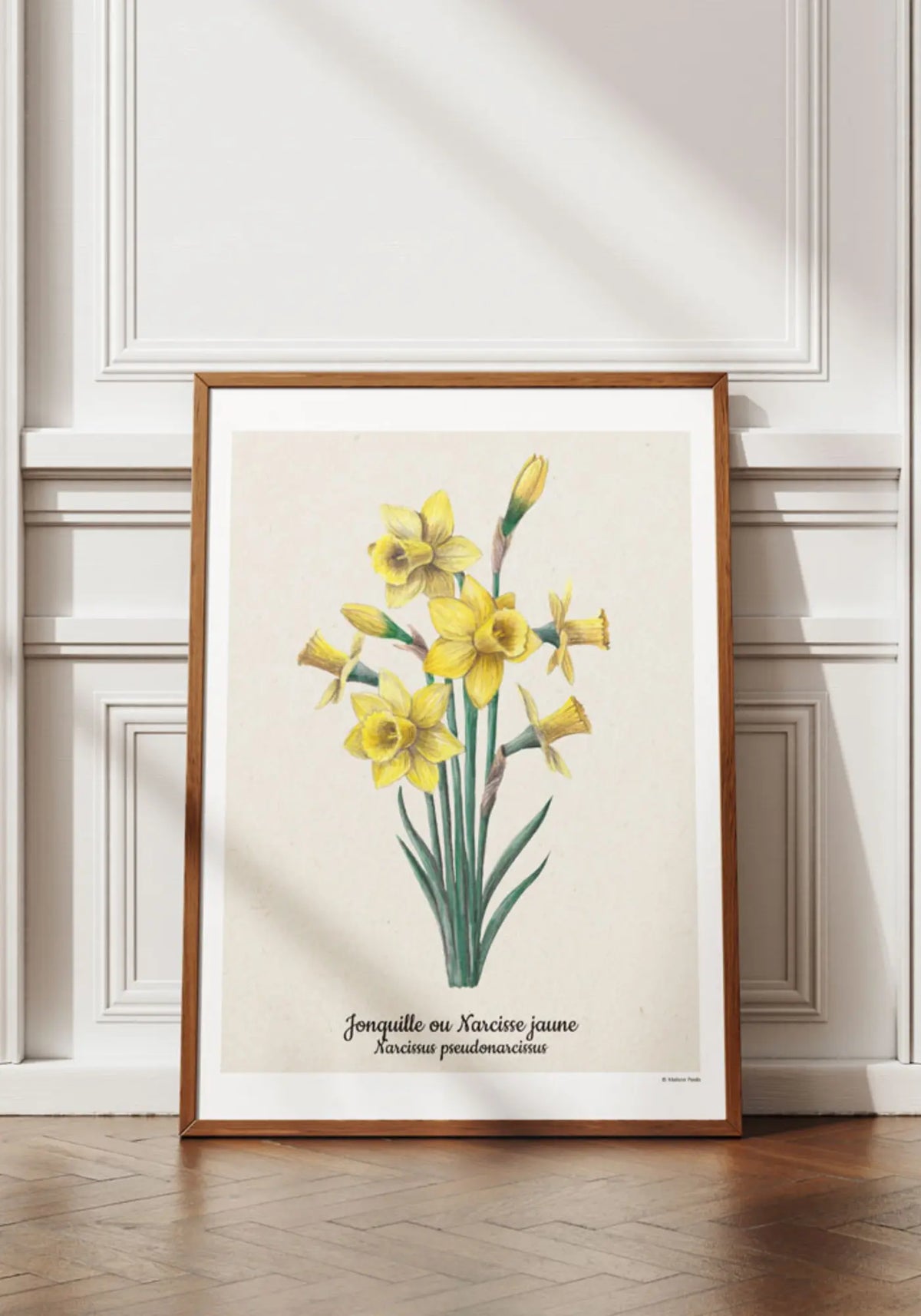 L'affiche 21x30 cm jonquille de chez Maison Paula