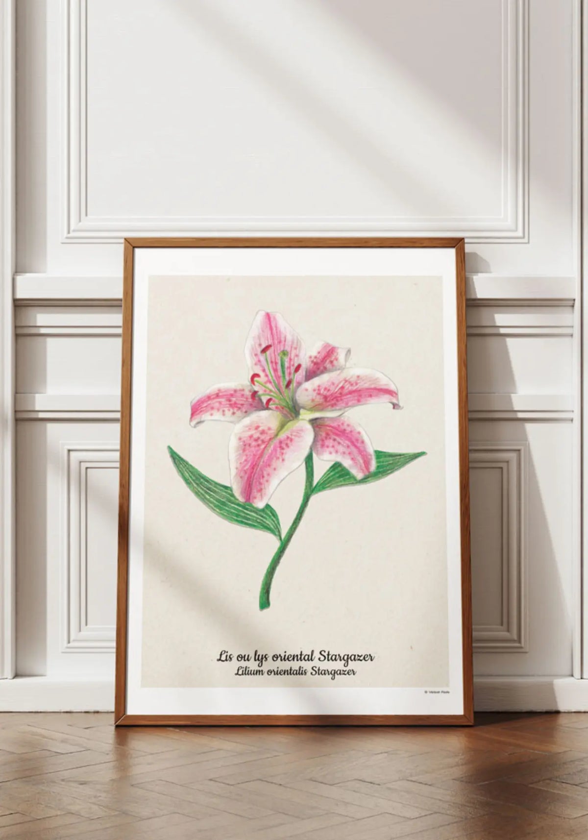 L'affiche 21x30 cm lys de chez Maison Paula