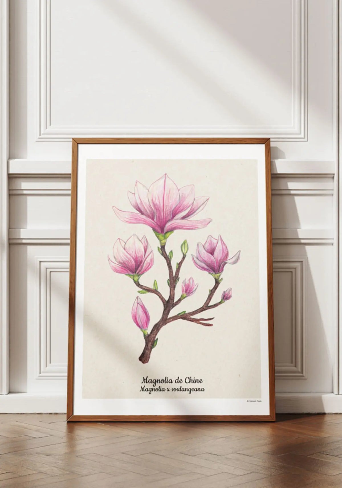 L'affiche 21x30 cm magnolia de chez Maison Paula
