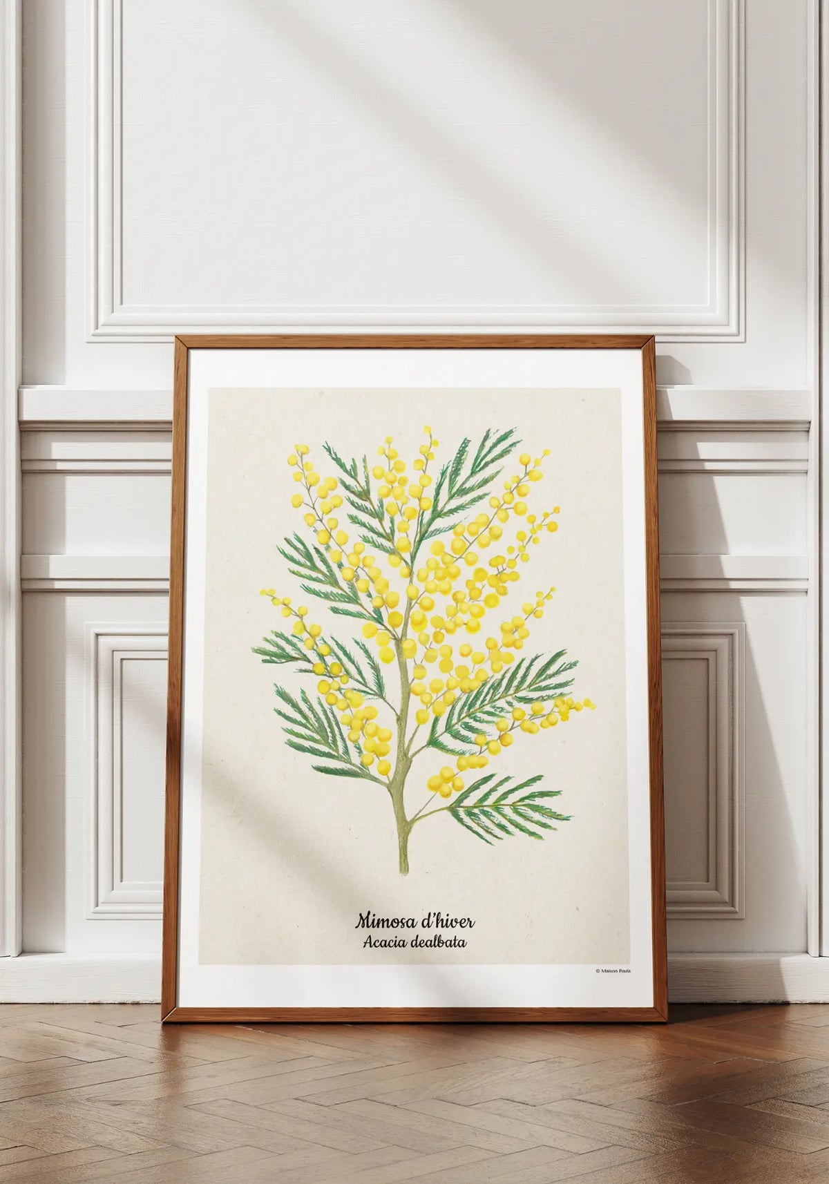 L'affiche 21x30 cm Mimosa d'hiver de chez Maison Paula