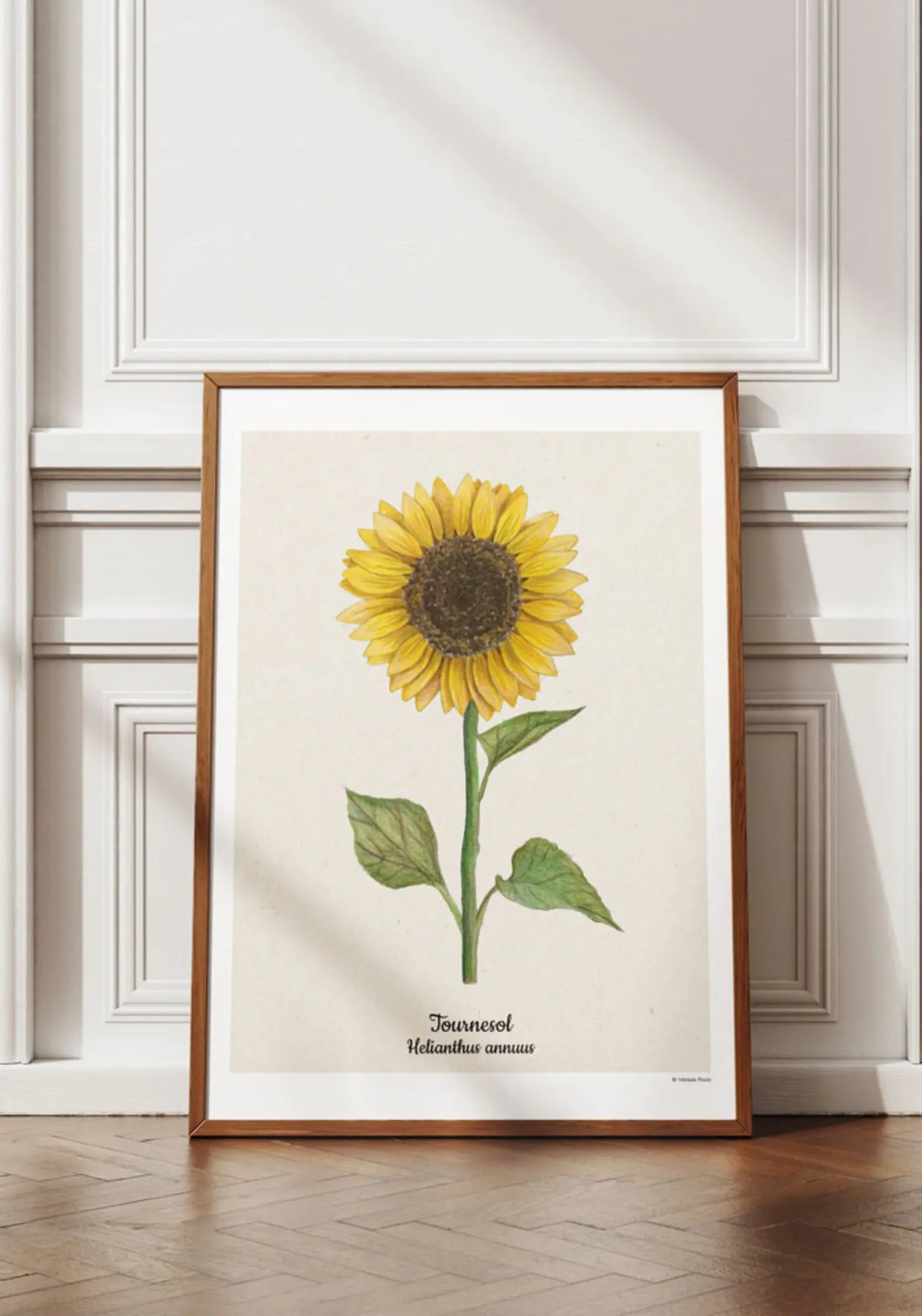 L'affiche 21x30 cm tournesol de chez Maison Paula