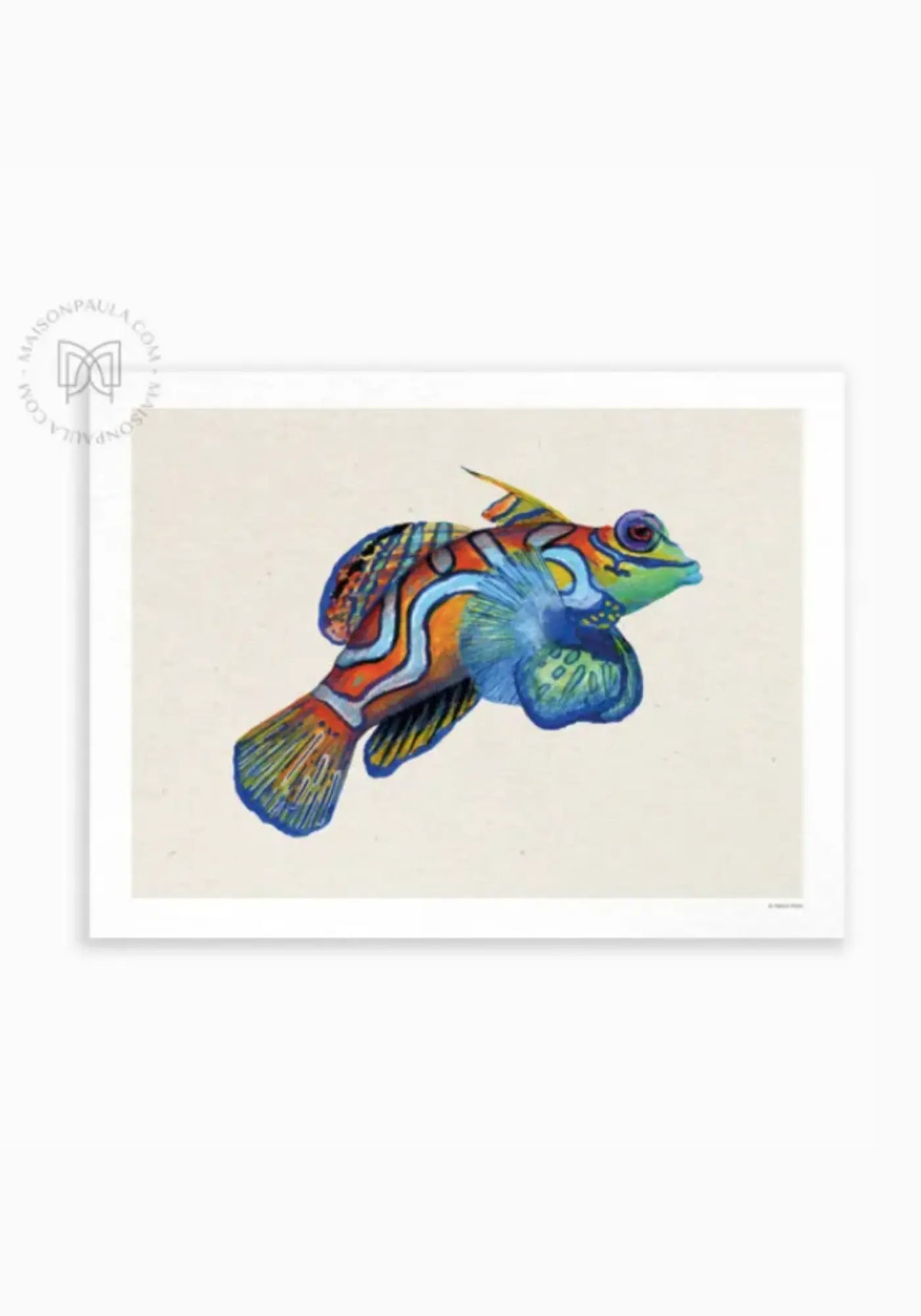 L'affiche 21x30 cm dragonnet mandarin de chez Maison Paula
