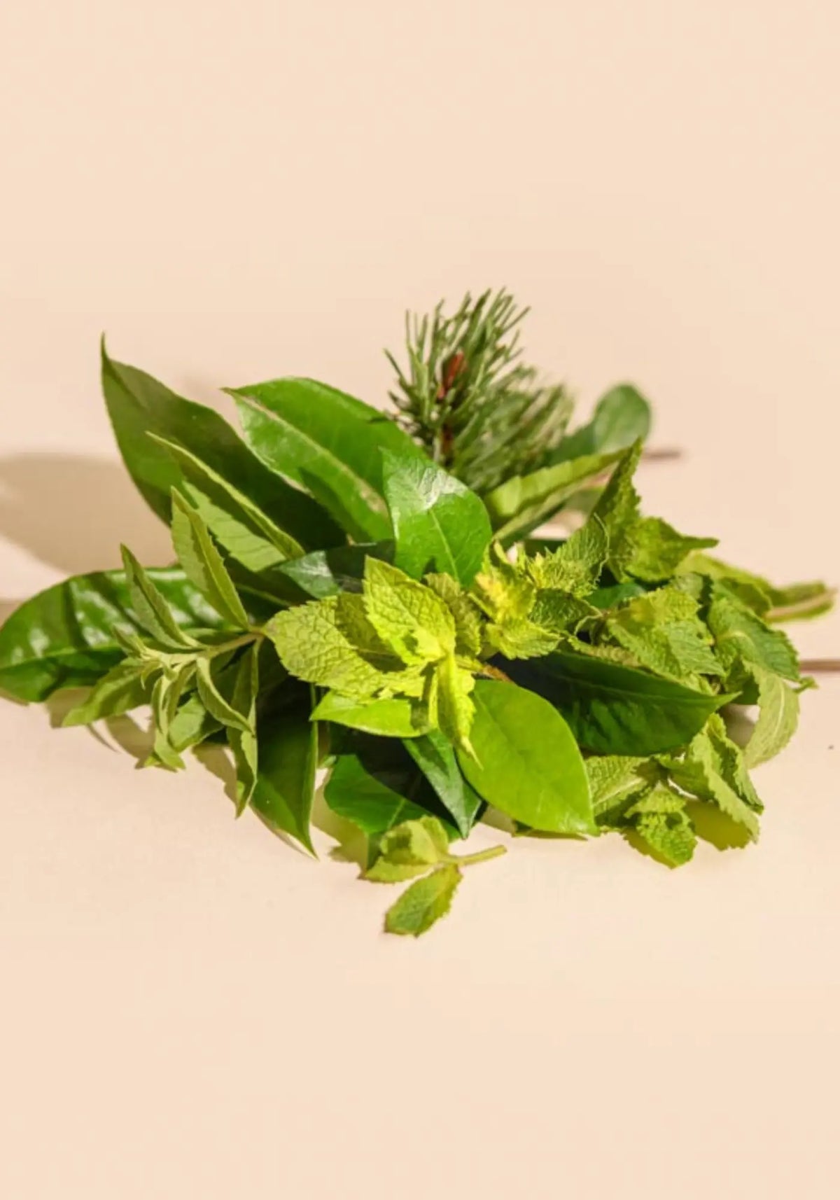 La senteur du room spray 100ml feuille de menthe de chez Tandem Fragrances