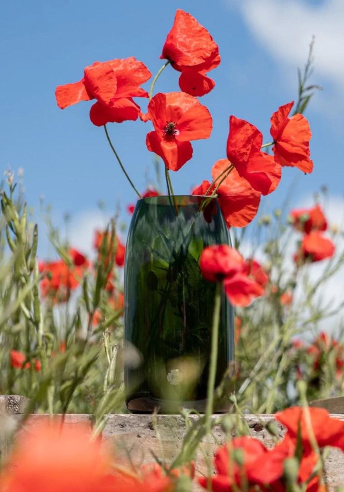     marsault-vase-vert-moyen